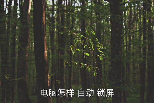 電腦怎樣 自動(dòng) 鎖屏