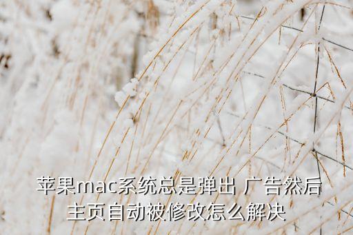 蘋果電腦自動彈出廣告,如何關(guān)閉safari9?