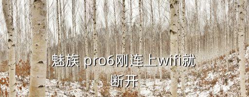  魅族 pro6剛連上wifi就 斷開
