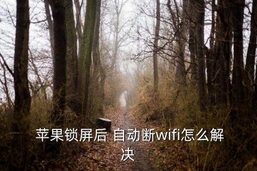 蘋果自動(dòng)屏蔽WiFi,蘋果手機(jī)wifi自動(dòng)斷線怎么辦?