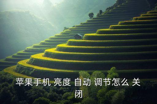 怎么關(guān)閉亮度自動調(diào)節(jié),蘋果手機(jī)應(yīng)用如何關(guān)閉屏幕自動適配亮度