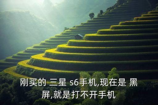 剛買的 三星 s6手機,現(xiàn)在是 黑屏,就是打不開手機