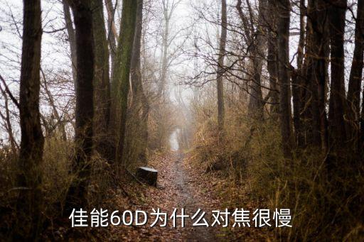 佳能60D為什么對焦很慢