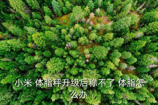 小米體脂秤壞了 自動(dòng)跳,小米體脂秤怎么辦?