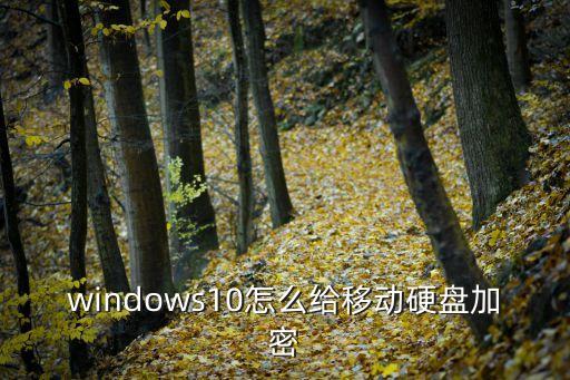 windows10怎么給移動硬盤加密