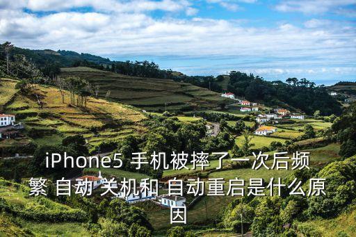iPhone5 手機被摔了一次后頻繁 自動 關機和 自動重啟是什么原因