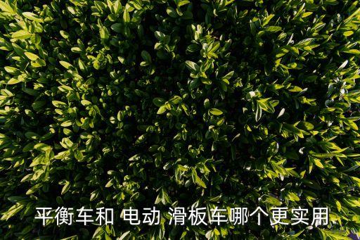 自動(dòng)平衡電動(dòng)滑板車,平衡車的優(yōu)缺點(diǎn)