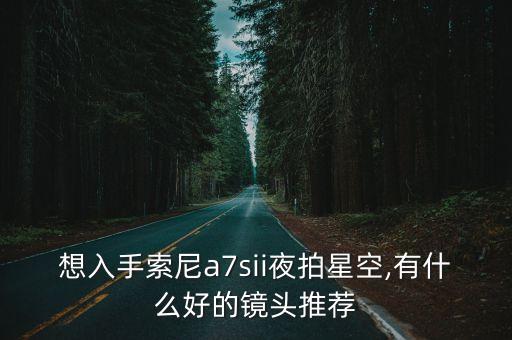 a7s2 自動(dòng)追焦,比a7x更快更準(zhǔn)的飛機(jī)照片