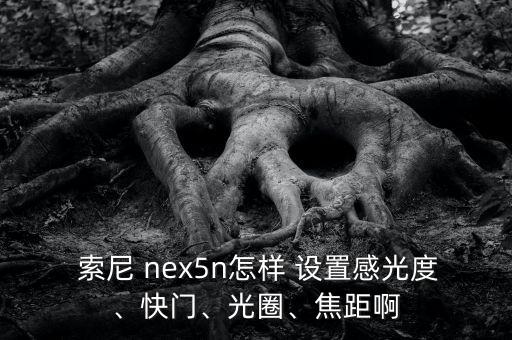  索尼 nex5n怎樣 設(shè)置感光度、快門、光圈、焦距啊