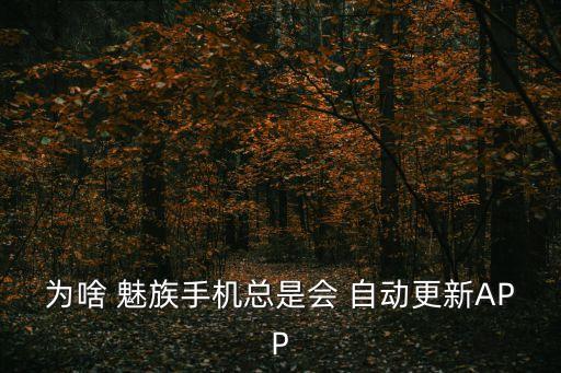 魅族自動安裝第三方,魅族16如何允許安裝不明來源軟件?