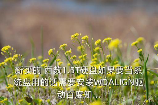 新買的 西數(shù)1.5T硬盤如果要當系統(tǒng)盤用的話需要安裝WDALIGN驅(qū)動百度知...