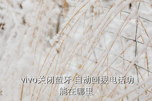  vivo關(guān)閉藍(lán)牙 自動(dòng)回?fù)茈娫捁δ茉谀睦? class=