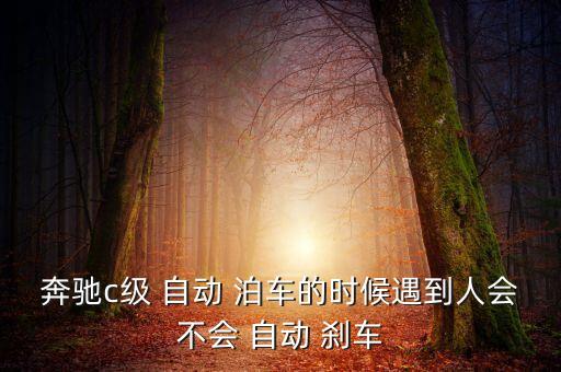 自動泊車剎車,奔馳c級-2泊車電子控制單元實時對環(huán)境建模