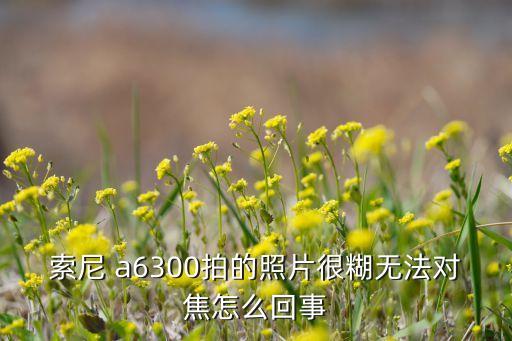 a6300自動對焦關(guān)閉,索尼手機防抖功能沒開啟建議重新對焦