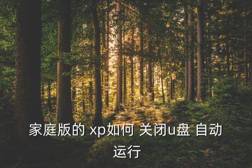 家庭版的 xp如何 關(guān)閉u盤 自動 運行