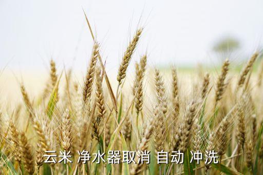 凈水器是自動(dòng)沖洗嗎,天使凈水齊老自動(dòng)保潔怎么了?