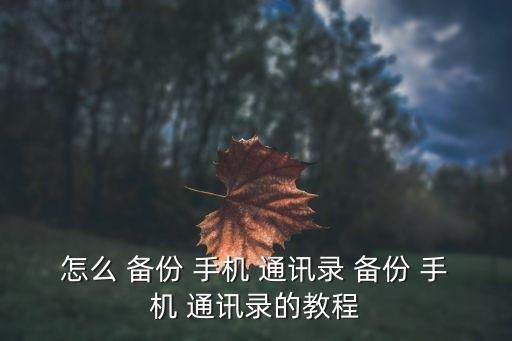 手機(jī)通訊錄自動(dòng)備份,手機(jī)怎么備份通訊錄?