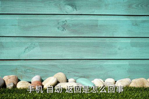 手機自動返回,手機總是靠自己返回桌面原因及解決方法