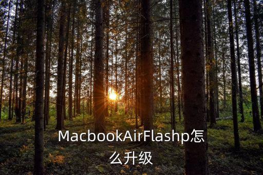 flash air 自動(dòng)更新,武漢出現(xiàn)第一起病例