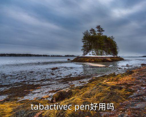 tabactivec pen好用嗎