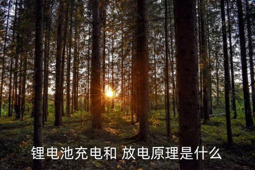 鋰電池充電和 放電原理是什么