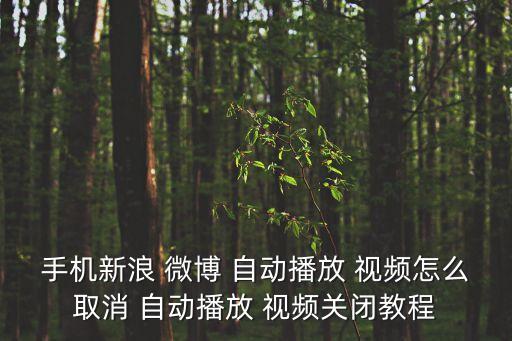 手機(jī)新浪 微博 自動播放 視頻怎么取消 自動播放 視頻關(guān)閉教程