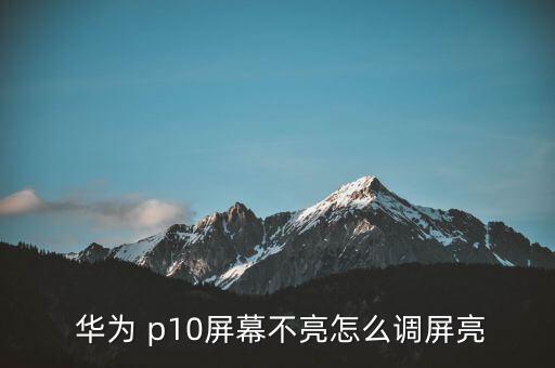  華為 p10屏幕不亮怎么調(diào)屏亮