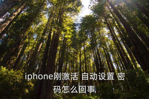  iphone剛激活 自動(dòng)設(shè)置 密碼怎么回事