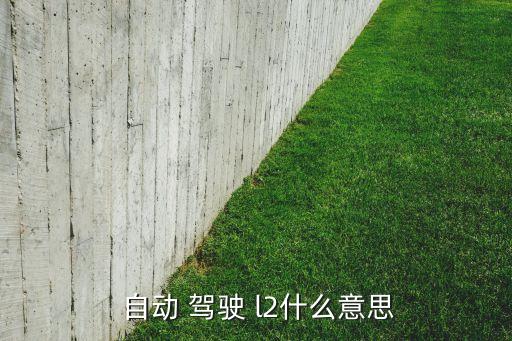  自動 駕駛 l2什么意思
