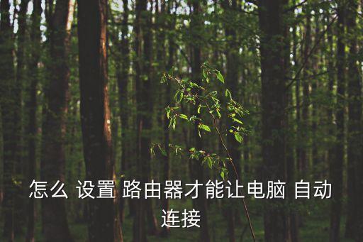 怎么 設(shè)置 路由器才能讓電腦 自動(dòng)連接