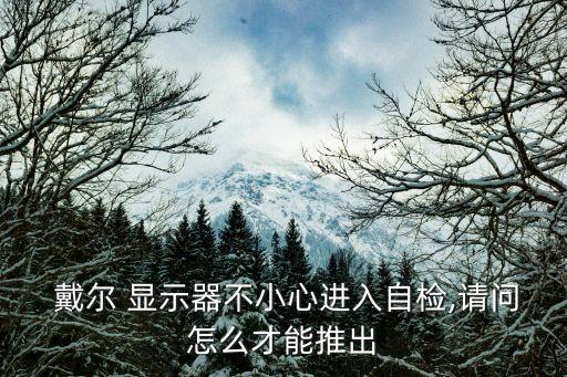  戴爾 顯示器不小心進(jìn)入自檢,請(qǐng)問怎么才能推出