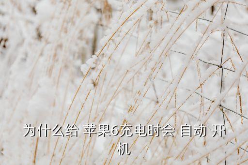 為什么給 蘋果6充電時會 自動 開機