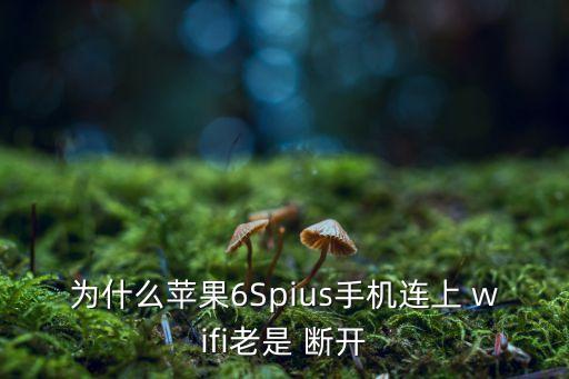 為什么蘋果6Spius手機(jī)連上 wifi老是 斷開