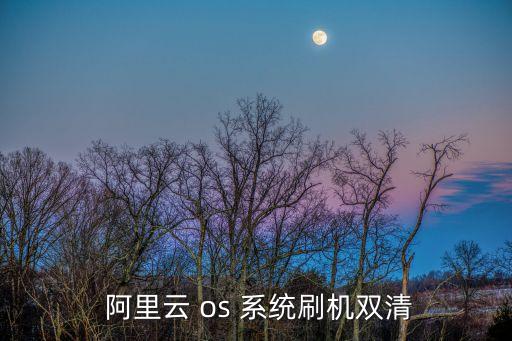 阿里云 os 系統(tǒng)刷機(jī)雙清