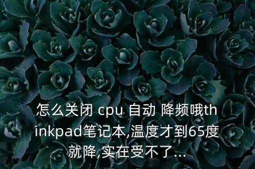 怎么關(guān)閉 cpu 自動(dòng) 降頻哦thinkpad筆記本,溫度才到65度就降,實(shí)在受不了...