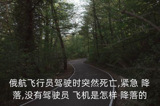 飛機(jī)自動(dòng)降落系統(tǒng),中國(guó)絕對(duì)不允許民航飛機(jī)自動(dòng)操作到可靠接地