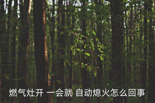 燃氣灶開 一會就 自動熄火怎么回事
