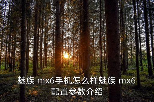 魅族 mx6手機(jī)怎么樣魅族 mx6配置參數(shù)介紹