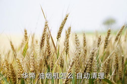 油煙機(jī)熱旋式自動清洗,自動清洗油煙機(jī)四大優(yōu)勢:!