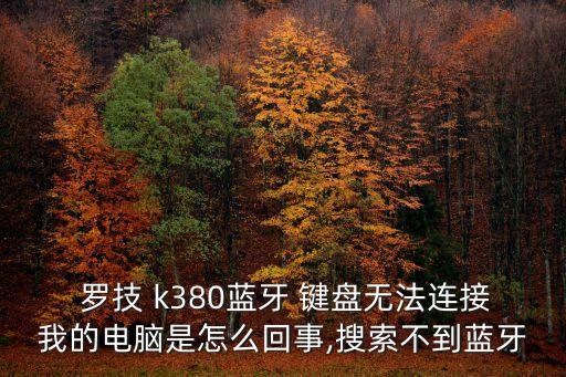  羅技 k380藍(lán)牙 鍵盤無法連接我的電腦是怎么回事,搜索不到藍(lán)牙