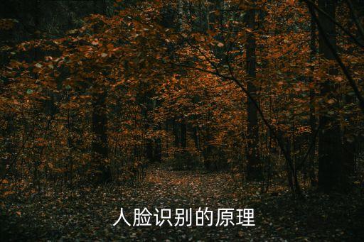 攝像機(jī)自動(dòng)跟蹤人臉,人臉識(shí)別技術(shù)可追蹤人臉行為不同