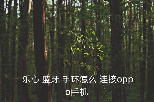  樂(lè)心 藍(lán)牙 手環(huán)怎么 連接oppo手機(jī)