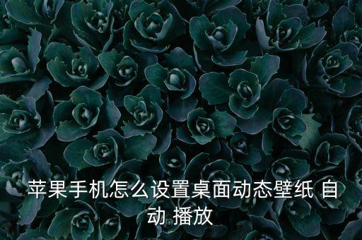  蘋果手機怎么設置桌面動態(tài)壁紙 自動 播放