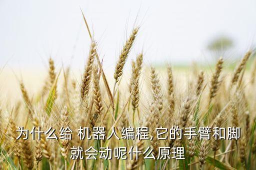為什么給 機(jī)器人編程,它的手臂和腳就會(huì)動(dòng)呢什么原理