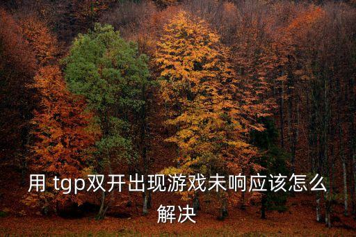 用 tgp雙開出現(xiàn)游戲未響應(yīng)該怎么解決