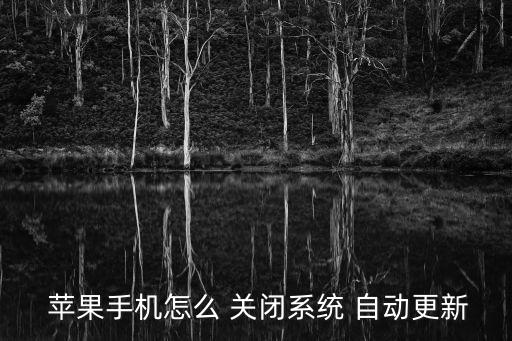 蘋果關(guān)閉自動(dòng)系統(tǒng)升級(jí),蘋果手機(jī)自動(dòng)更新關(guān)閉后如何恢復(fù)?