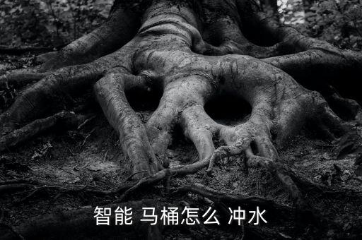 日本自動馬桶怎么沖水,智能馬桶靠歸納沖水在起床后使用