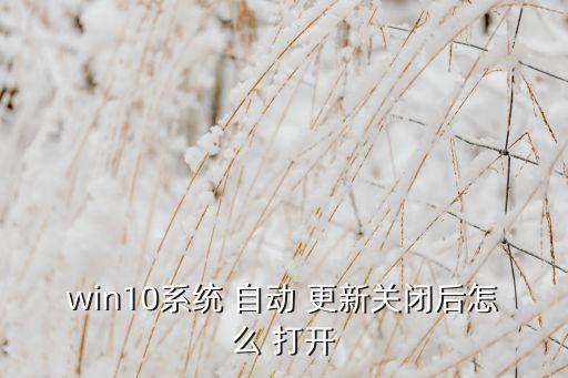 如何打開(kāi)微軟自動(dòng)更新,系統(tǒng)自動(dòng)更新被關(guān)閉后可恢復(fù)正常運(yùn)作