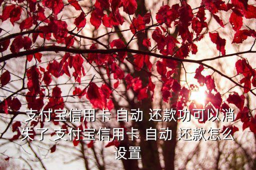 手機(jī)支付寶無自動(dòng)還款,支付寶中-2還款設(shè)置完成后將自動(dòng)還款