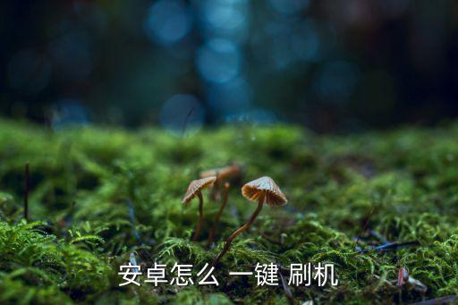安卓怎么 一鍵 刷機